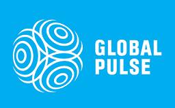 UN Global Pulse - Big data for development and humanitarian action