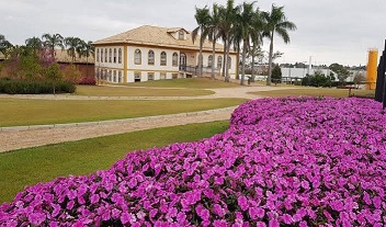 Ball Horticultural