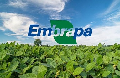 Embrapa