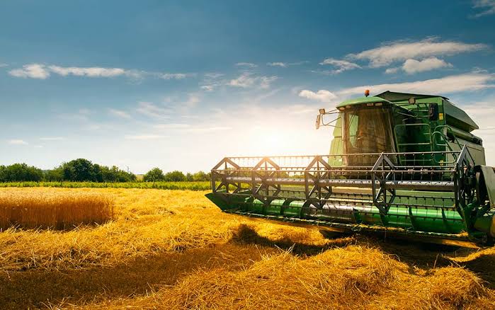 agricolus.com