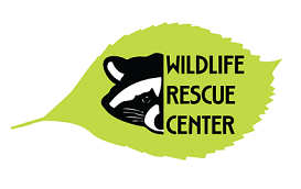 Wildlife Rescue