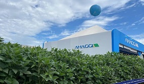 AMAGGI