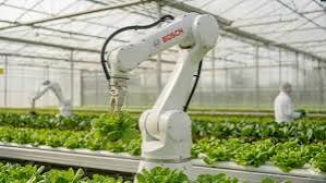Bosch Rexroth