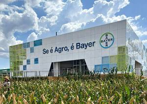 agro.bayer.com.br