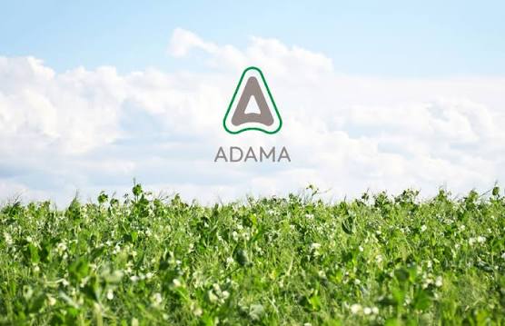 adama.com